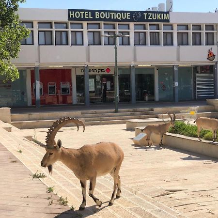 Tzukim Desert Traveler'S Hotel - מלון צוקים ミツペ・ラモン エクステリア 写真